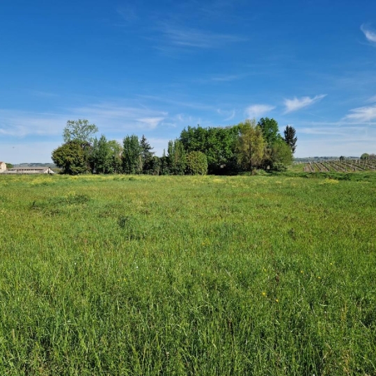 KHEOPS IMMO : Ground | SAINT-PIERRE-DE-MONS (33210) | 1388.00m2 | 71 500 € KHEOPS IMMO : Ground | SAINT-PIERRE-DE-MONS (33210) | 1388.00m2 | 71 500 €