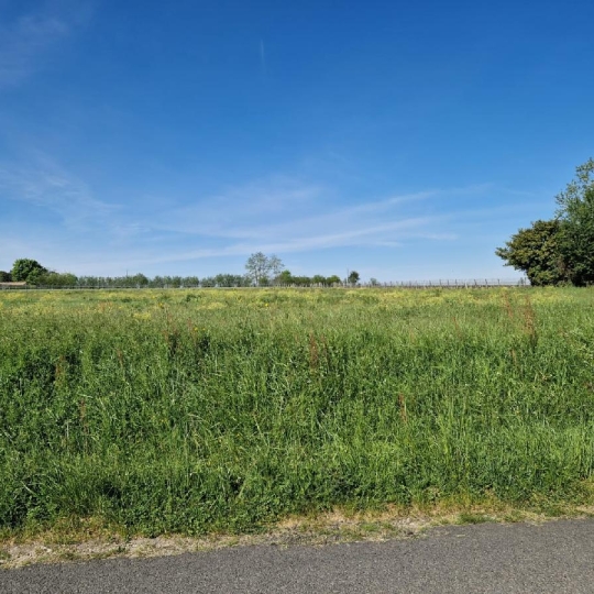  KHEOPS IMMO : Ground | SAINT-PIERRE-DE-MONS (33210) | 1 388 m2 | 71 500 € 