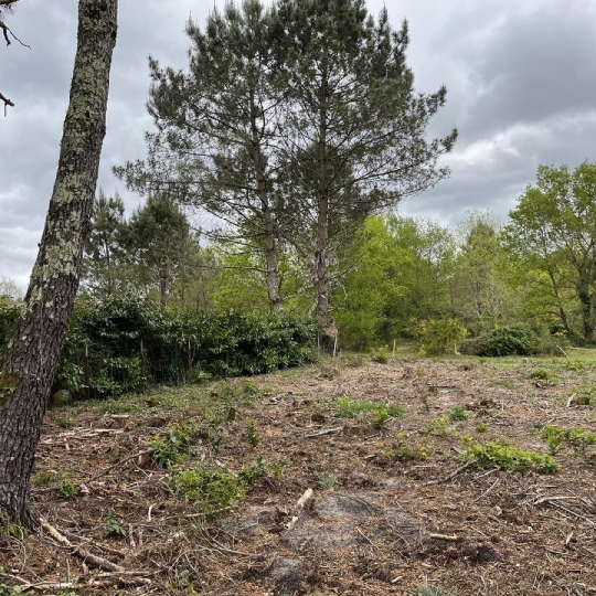  KHEOPS IMMO : Ground | BALIZAC (33730) | 585 m2 | 41 250 € 