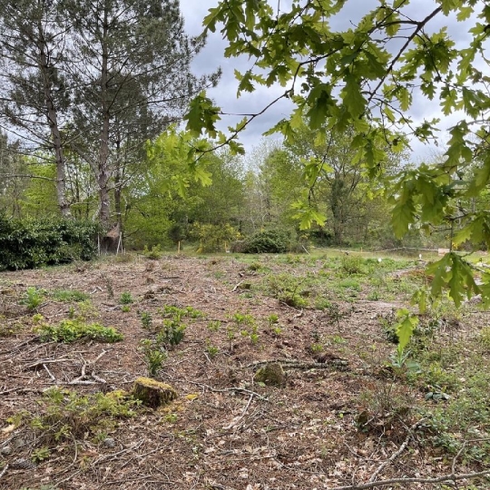  KHEOPS IMMO : Ground | BALIZAC (33730) | 585 m2 | 41 250 € 