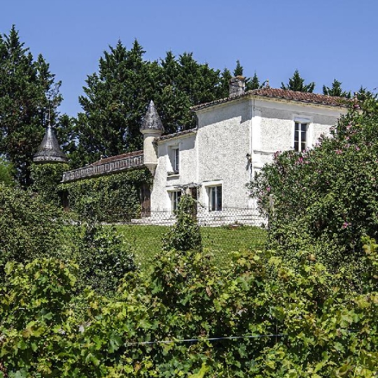  KHEOPS IMMO : Ground | ESCOUSSANS (33760) | 210 000 m2 | 1 650 000 € 