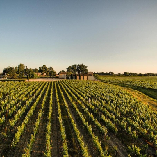  KHEOPS IMMO : Domain / Estate | MOULIS-EN-MEDOC (33480) | 600 m2 | 2 195 000 € 