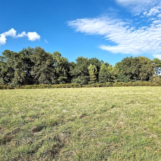  KHEOPS IMMO : Ground | CANTOIS (33760) | 11 000 m2 | 50 000 € 