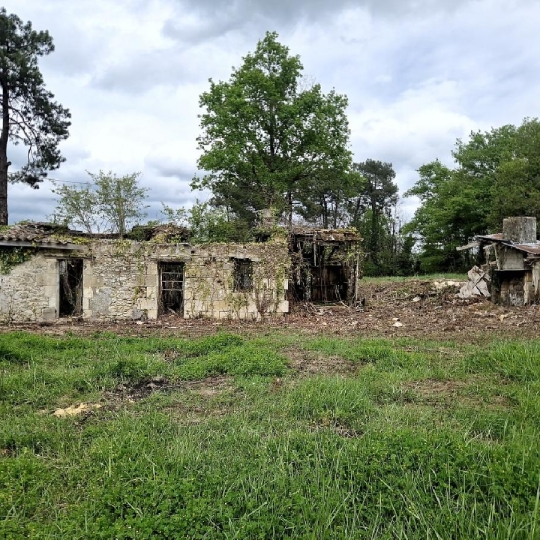  KHEOPS IMMO : Ground | CANTOIS (33760) | 11 000 m2 | 50 000 € 