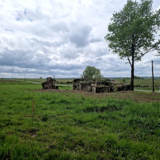  KHEOPS IMMO : Ground | CANTOIS (33760) | 11 000 m2 | 50 000 € 