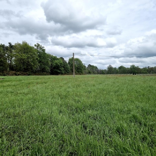  KHEOPS IMMO : Ground | CANTOIS (33760) | 11 000 m2 | 50 000 € 