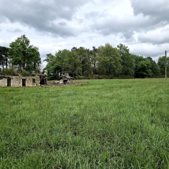  KHEOPS IMMO : Ground | CANTOIS (33760) | 11 000 m2 | 50 000 € 