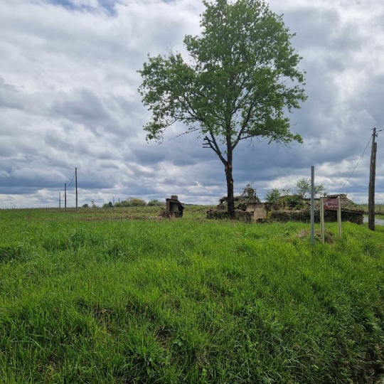  KHEOPS IMMO : Ground | CANTOIS (33760) | 11 000 m2 | 50 000 € 