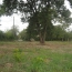  Annonces LANGON : Terrain | BEGUEY (33410) | 0 m2 | 107 000 &euro; 
