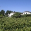  KHEOPS IMMO : Ground | ESCOUSSANS (33760) | 210 000 m2 | 1 650 000 € 