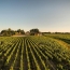  KHEOPS IMMO : Domain / Estate | MOULIS-EN-MEDOC (33480) | 600 m2 | 2 195 000 € 