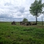  KHEOPS IMMO : Ground | CANTOIS (33760) | 11 000 m2 | 50 000 € 