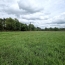  KHEOPS IMMO : Ground | CANTOIS (33760) | 11 000 m2 | 50 000 € 