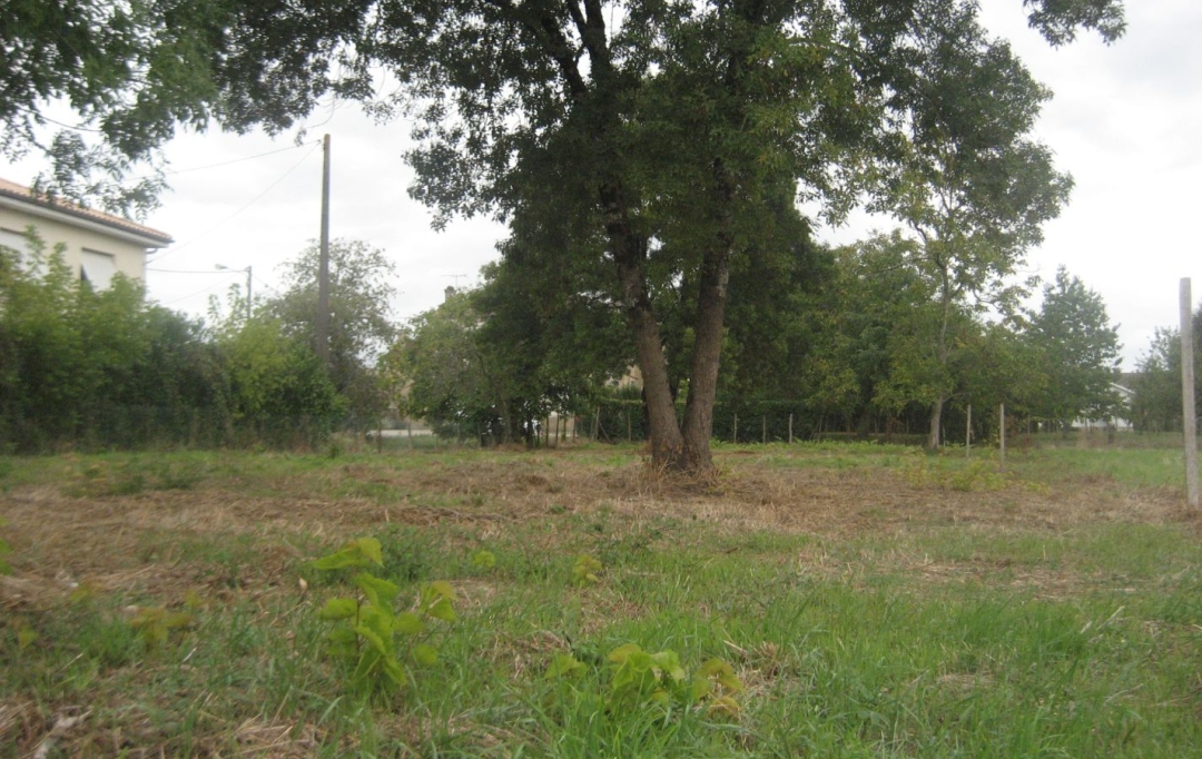 Annonces LANGON : Terrain | BEGUEY (33410) | 0 m2 | 107 000 &euro; 