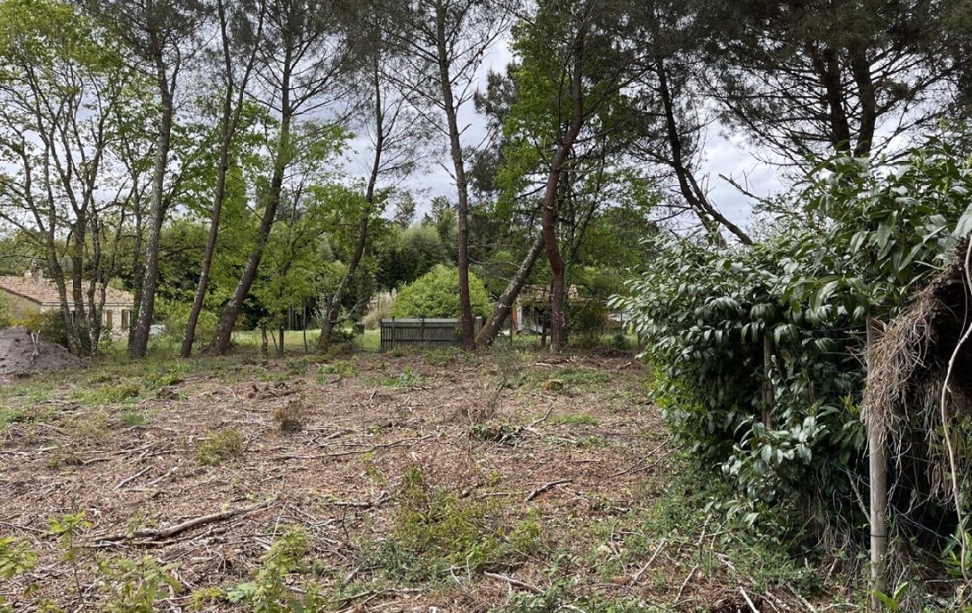 KHEOPS IMMO : Ground | BALIZAC (33730) | 585 m2 | 41 250 € 