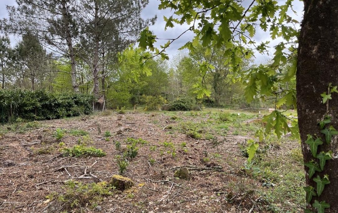 KHEOPS IMMO : Ground | BALIZAC (33730) | 585 m2 | 41 250 € 