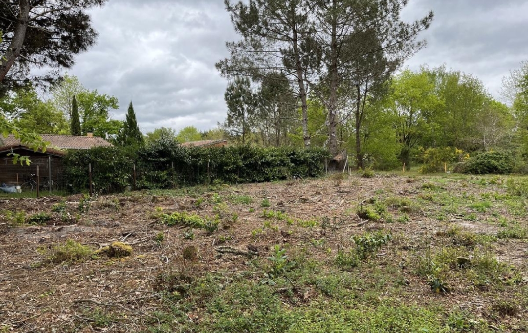 KHEOPS IMMO : Ground | BALIZAC (33730) | 585 m2 | 41 250 € 