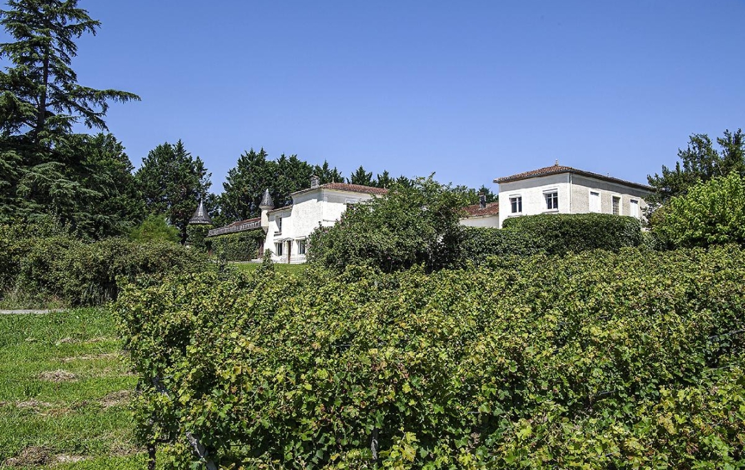 KHEOPS IMMO : Ground | ESCOUSSANS (33760) | 210 000 m2 | 1 650 000 € 