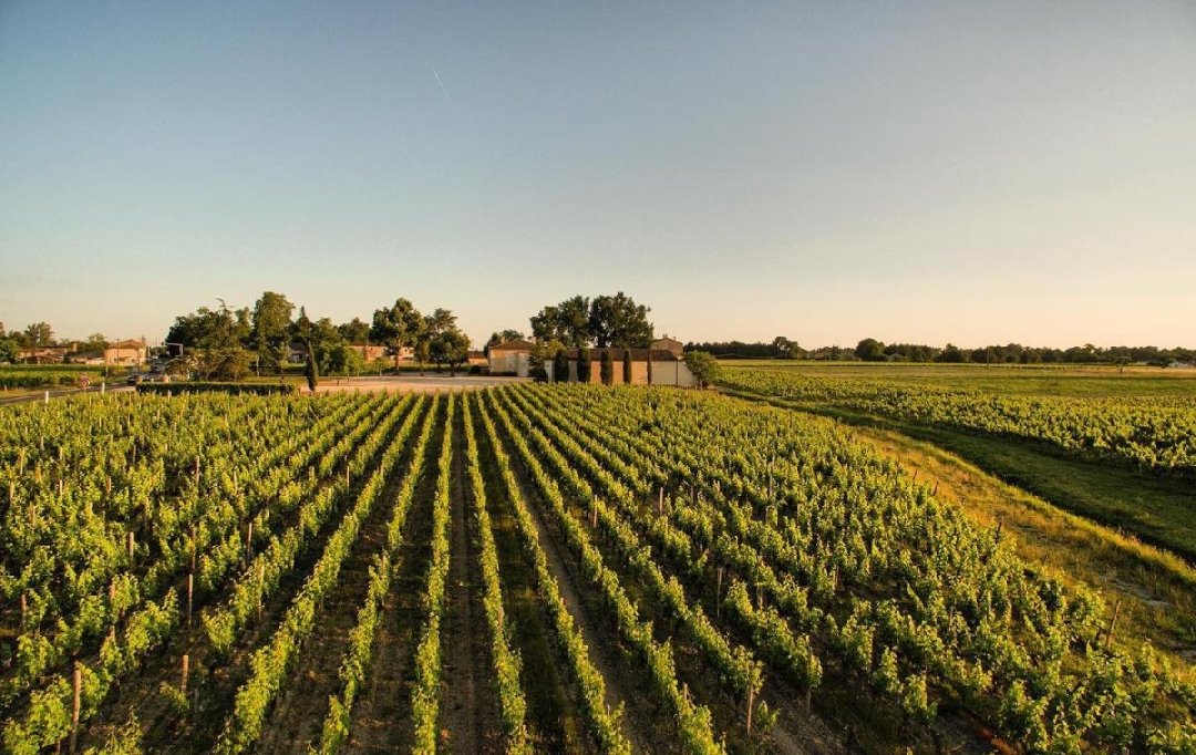 KHEOPS IMMO : Domain / Estate | MOULIS-EN-MEDOC (33480) | 600 m2 | 2 195 000 € 