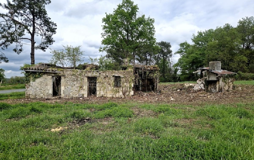 KHEOPS IMMO : Ground | CANTOIS (33760) | 11 000 m2 | 50 000 € 