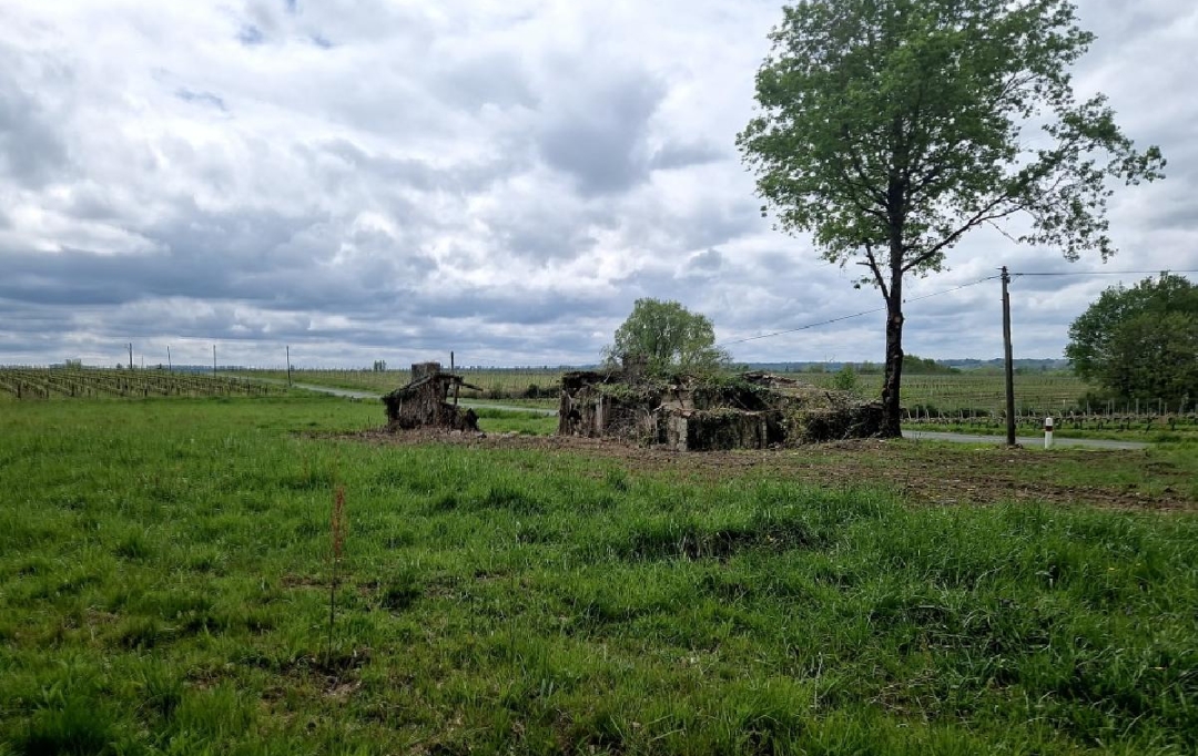 KHEOPS IMMO : Ground | CANTOIS (33760) | 11 000 m2 | 50 000 € 