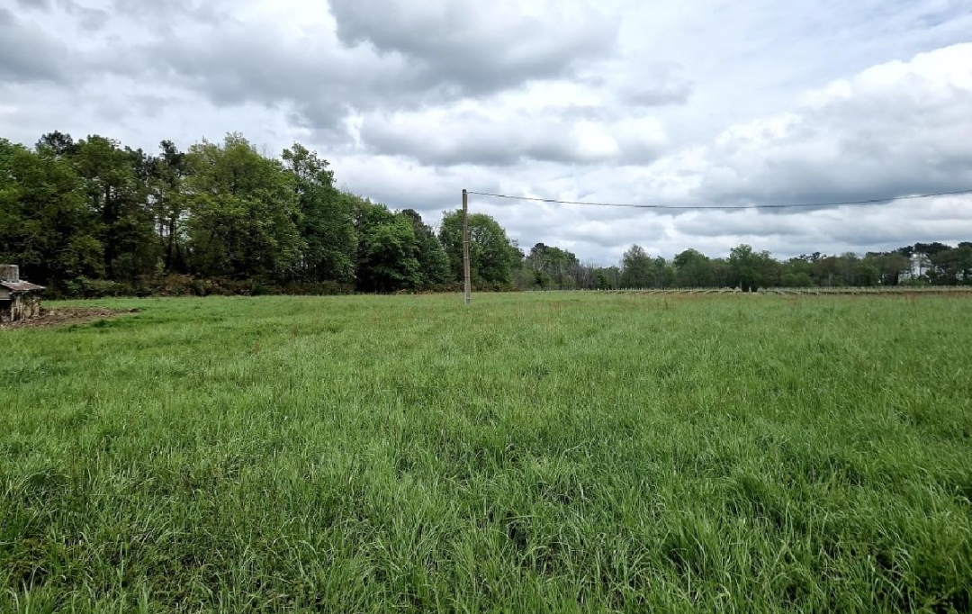 KHEOPS IMMO : Ground | CANTOIS (33760) | 11 000 m2 | 50 000 € 
