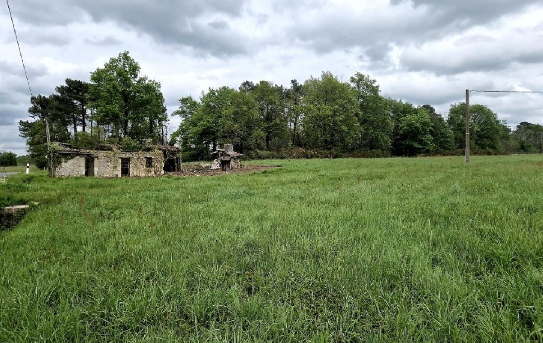 KHEOPS IMMO : Ground | CANTOIS (33760) | 11 000 m2 | 50 000 € 