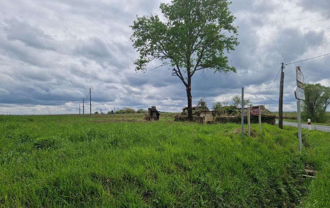 KHEOPS IMMO : Ground | CANTOIS (33760) | 11 000 m2 | 50 000 € 