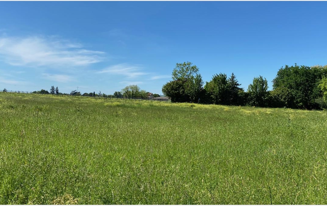 KHEOPS IMMO : Ground | SAINT-PIERRE-DE-MONS (33210) | 560 m2 | 51 700 € 