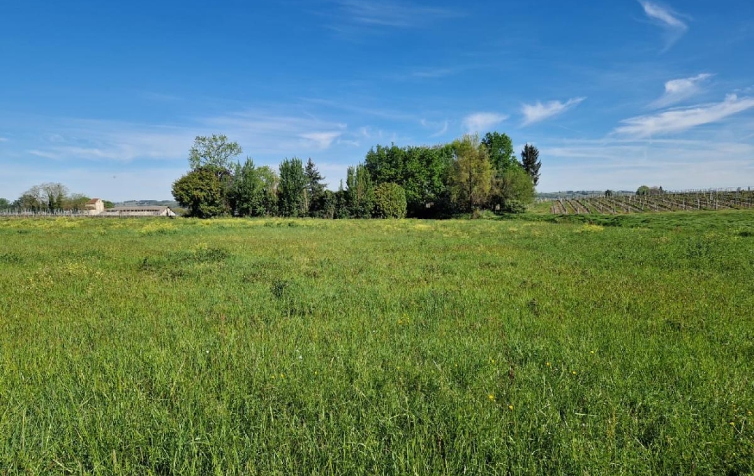 KHEOPS IMMO : Ground | SAINT-PIERRE-DE-MONS (33210) | 560 m2 | 51 700 € 