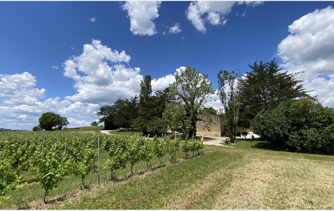 KHEOPS IMMO : House | SAINT-MARTIAL (33490) | 300 m2 | 1 700 000 € 