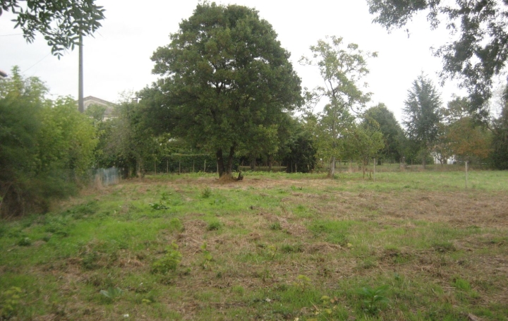  Annonces LANGON Terrain | BEGUEY (33410) | 0 m2 | 107 000 € 