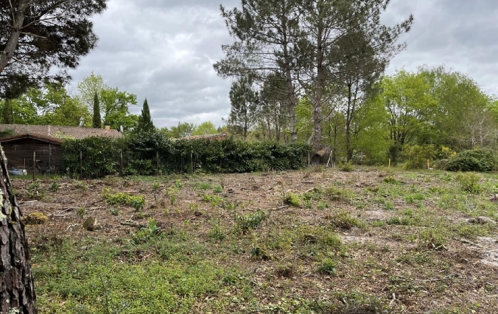  KHEOPS IMMO Ground | BALIZAC (33730) | 585 m2 | 41 250 € 