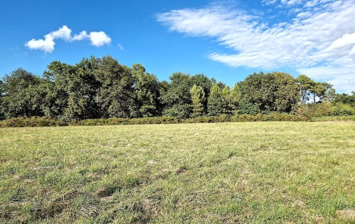  KHEOPS IMMO Ground | CANTOIS (33760) | 11 000 m2 | 50 000 € 